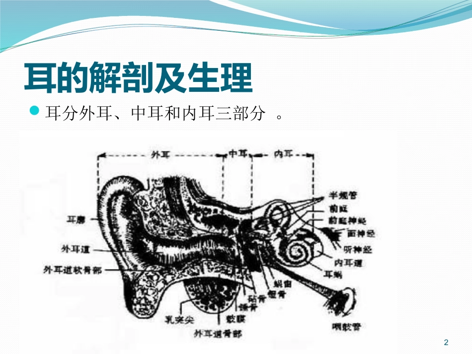 耳鼻喉的解剖及常见病PPT幻灯片_第2页