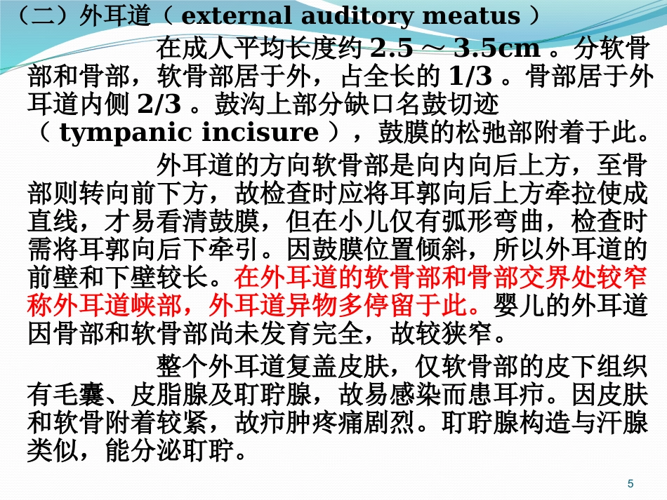 耳鼻喉的解剖及常见病PPT幻灯片_第5页