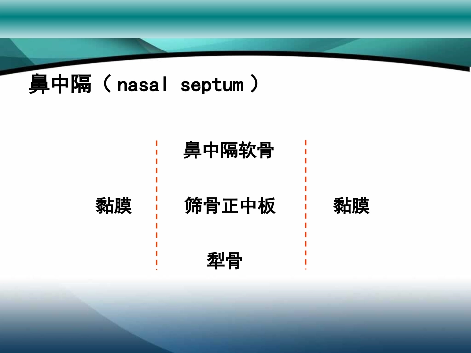 鼻中隔疾病_第3页