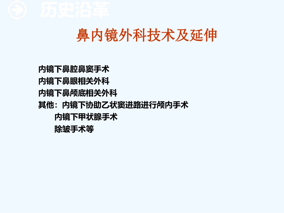 鼻内窥镜技术_第13页
