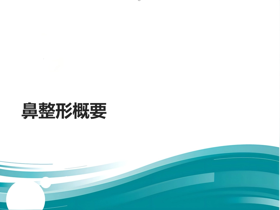 鼻整形 美容_第1页