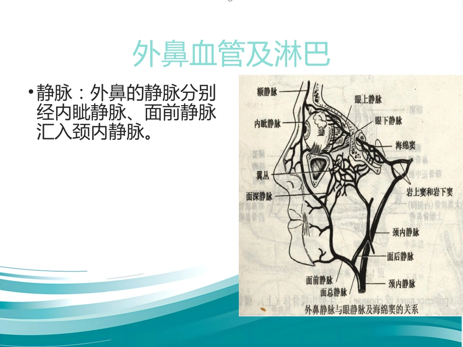 鼻整形 美容_第12页