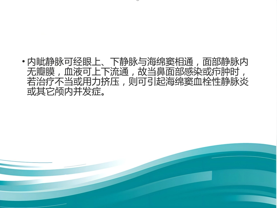 鼻整形 美容_第13页