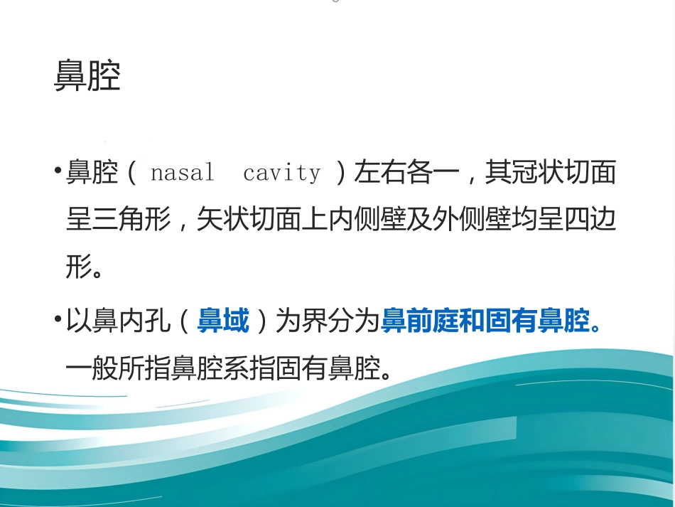鼻整形 美容_第14页