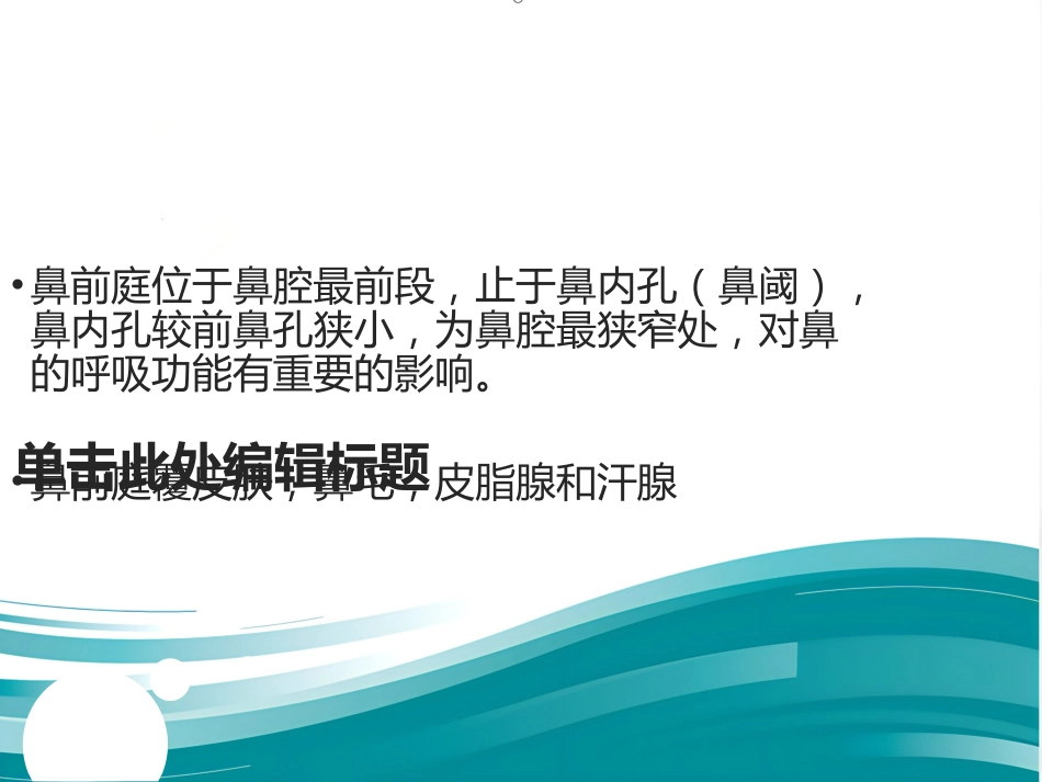鼻整形 美容_第15页