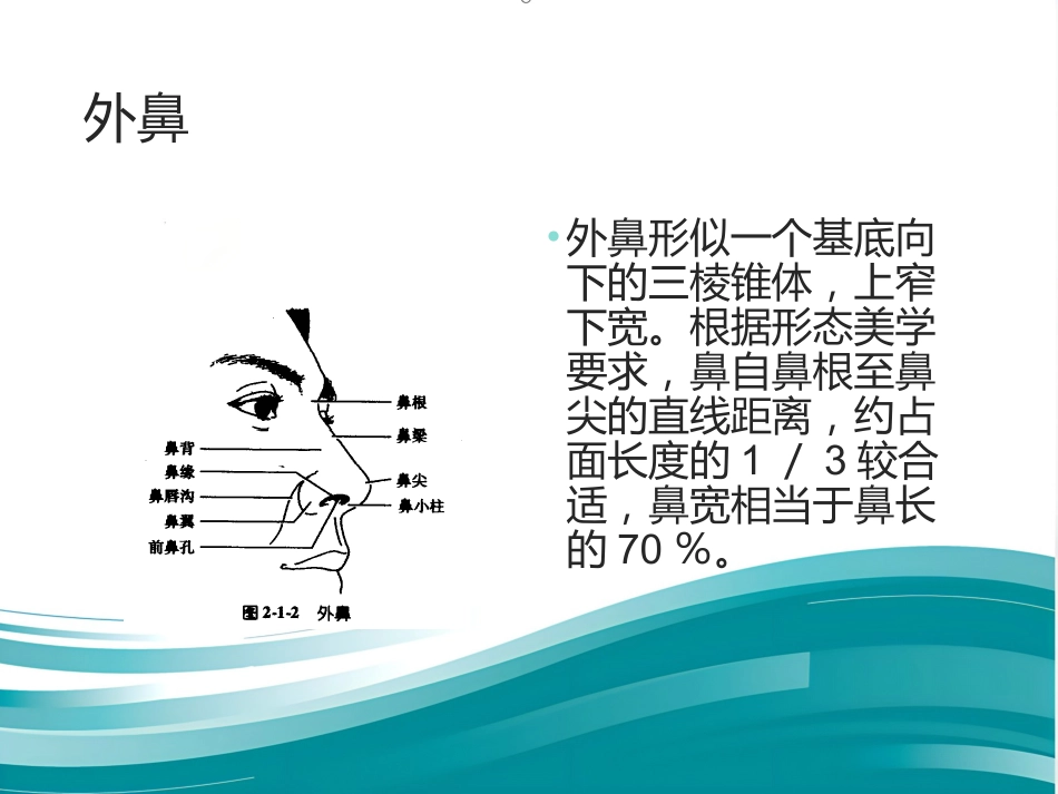鼻整形 美容_第3页