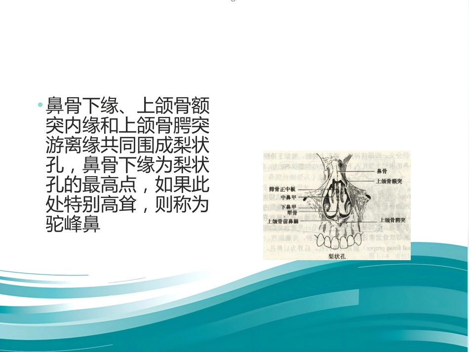 鼻整形 美容_第5页