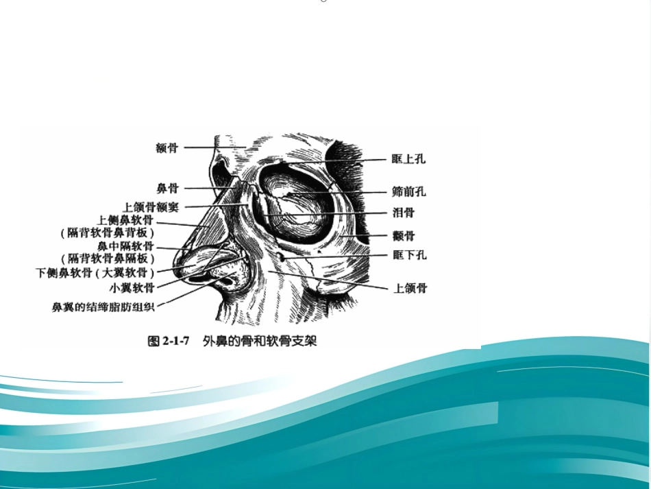 鼻整形 美容_第7页