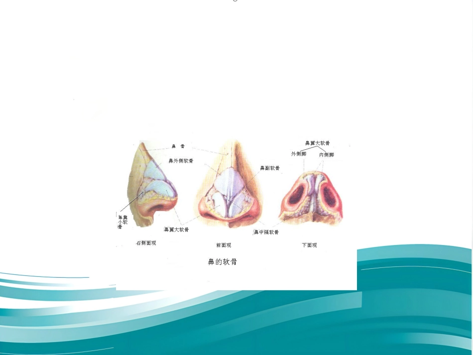 鼻整形 美容_第8页