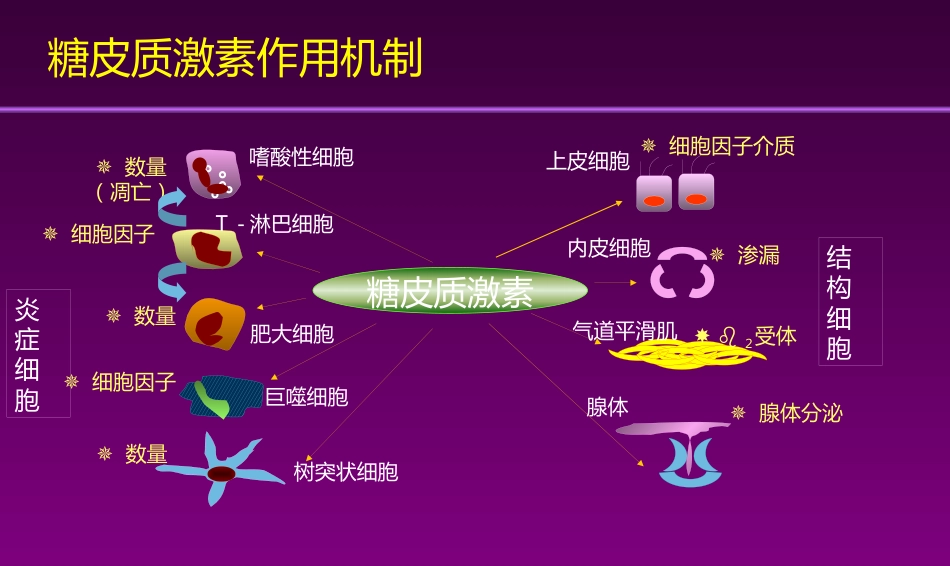 甲强龙PIM幻灯-耳鼻喉科_第4页