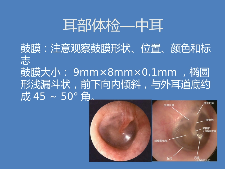 耳鼻喉科体检_第11页