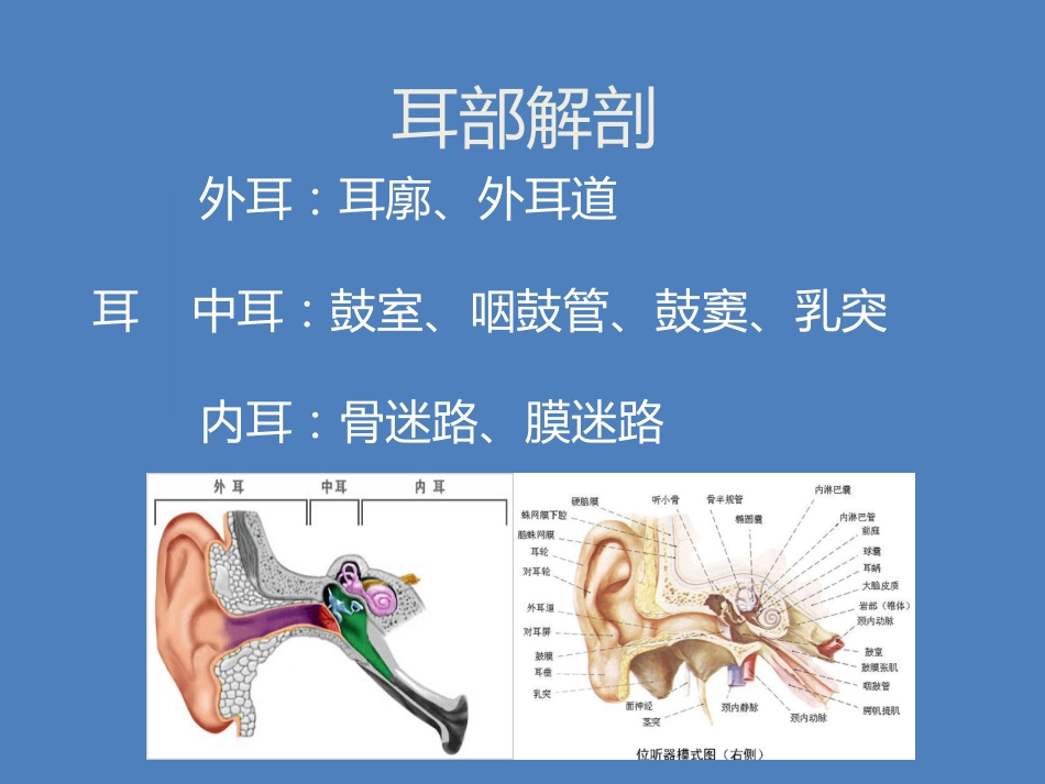 耳鼻喉科体检_第4页