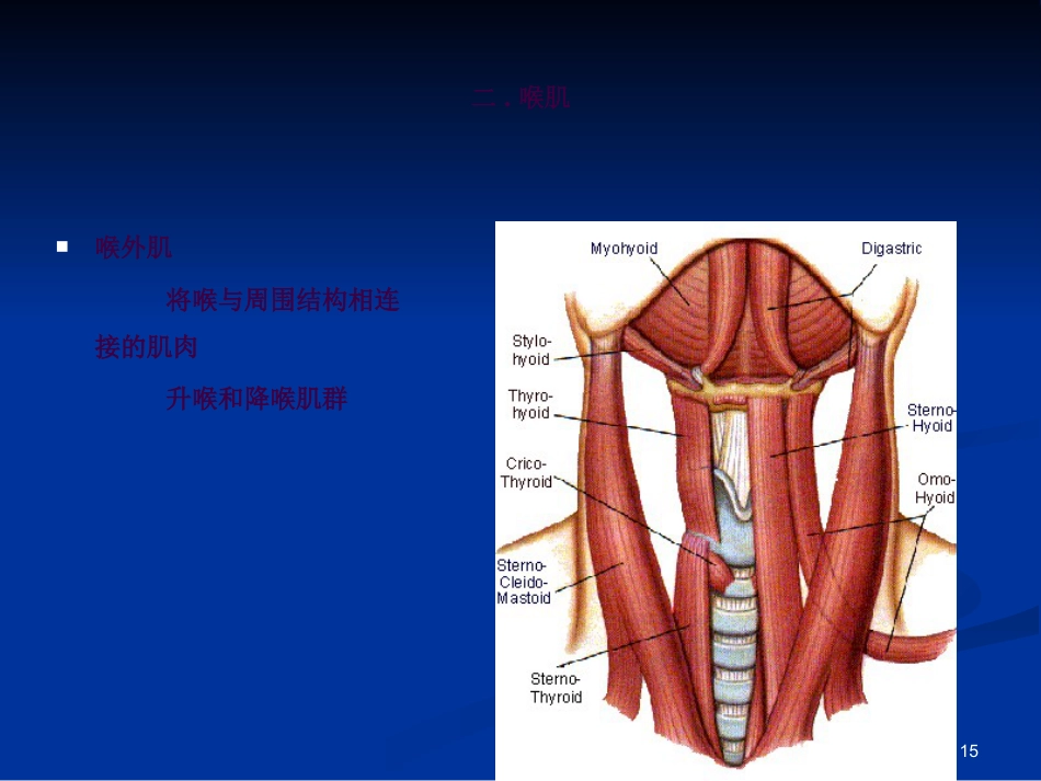 喉科学ppt课件_第15页
