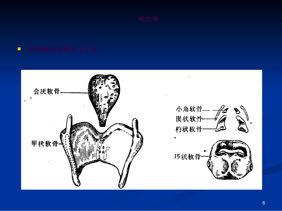 喉科学ppt课件_第6页