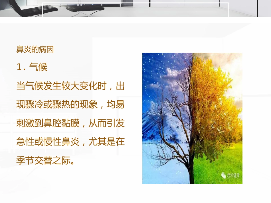 鼻炎的诊断和治疗_第5页