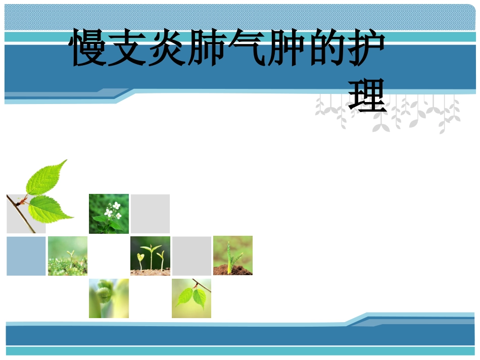 慢支炎肺气肿的护理_第1页