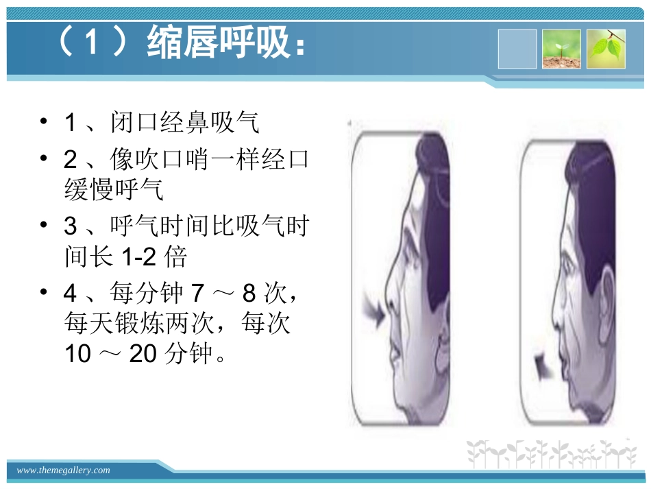 慢支炎肺气肿的护理_第11页