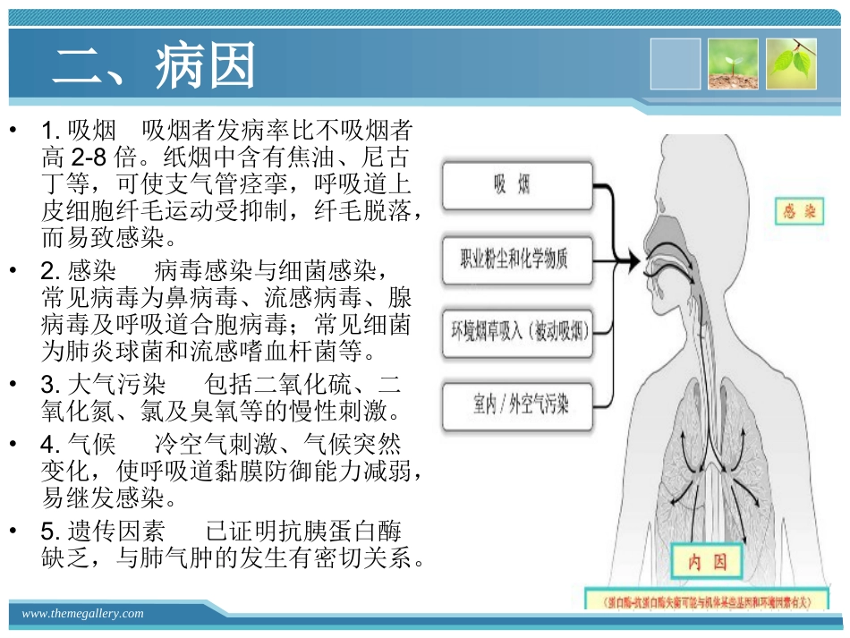 慢支炎肺气肿的护理_第4页