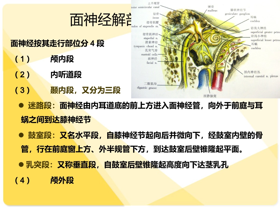 耳部解剖及常见疾病诊断_第12页