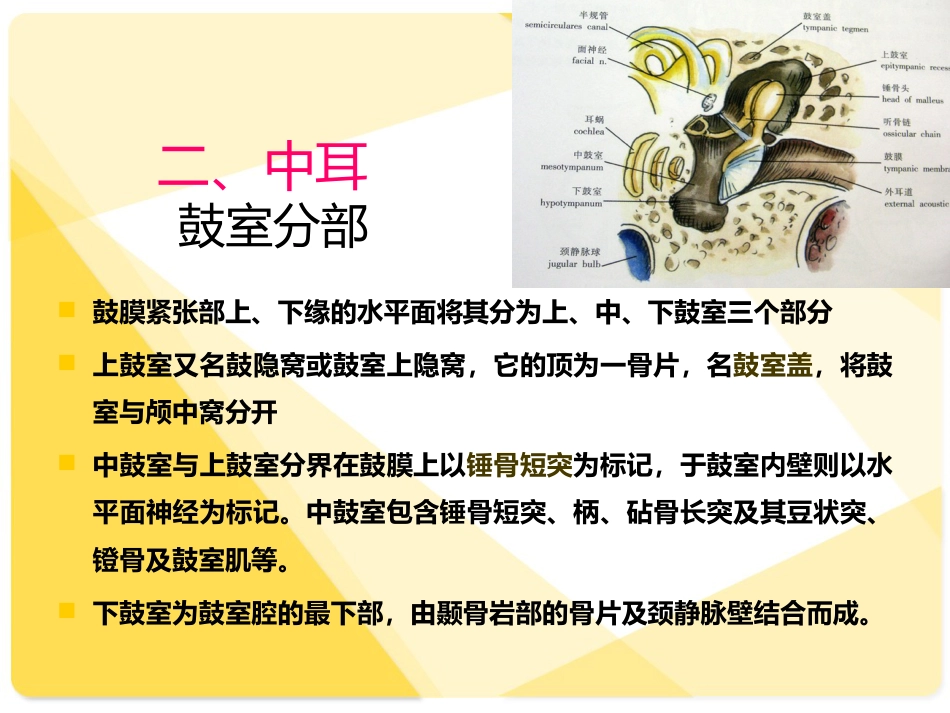 耳部解剖及常见疾病诊断_第5页