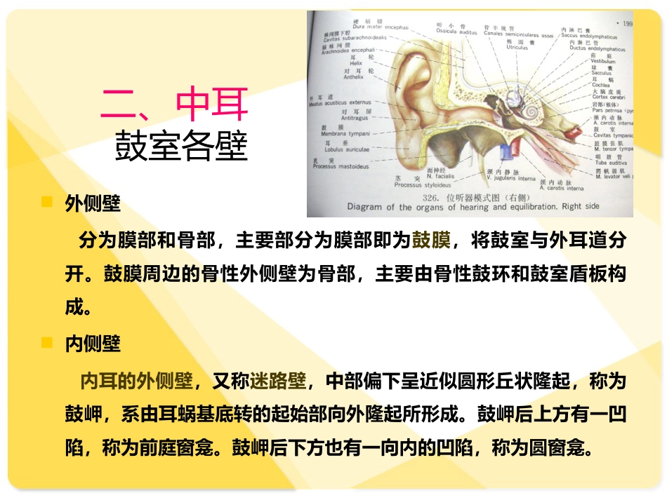 耳部解剖及常见疾病诊断_第6页