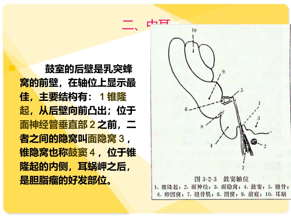耳部解剖及常见疾病诊断_第8页