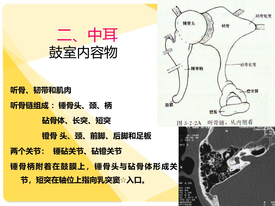 耳部解剖及常见疾病诊断_第9页