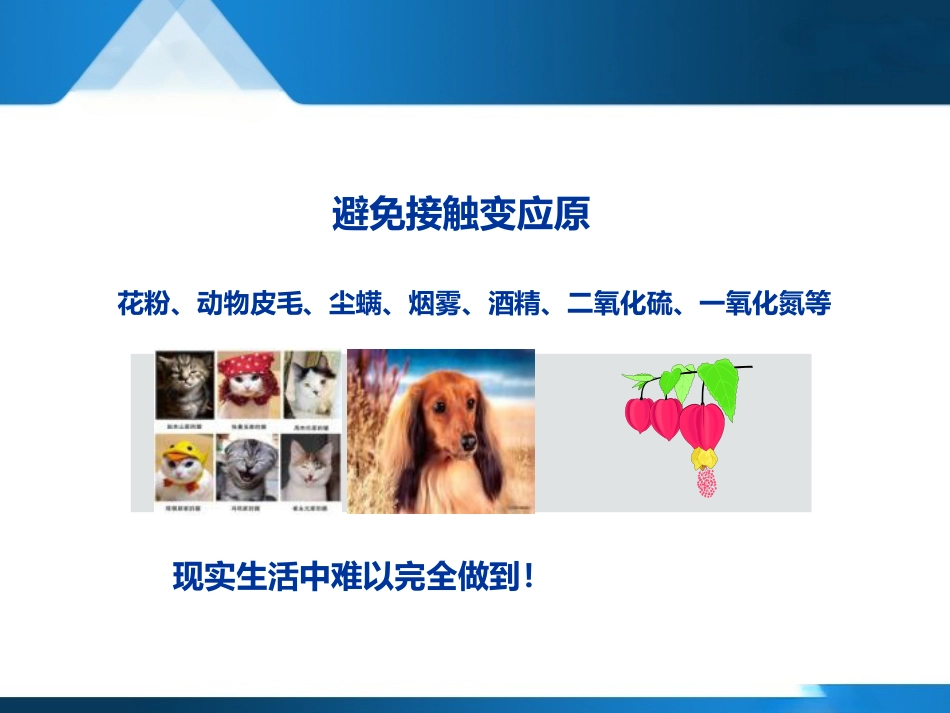 变应性鼻炎聚焦超声治疗--forsale_第13页