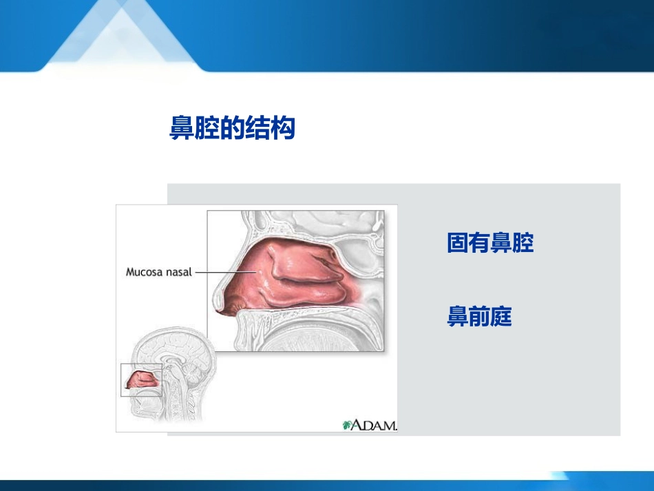 变应性鼻炎聚焦超声治疗--forsale_第5页