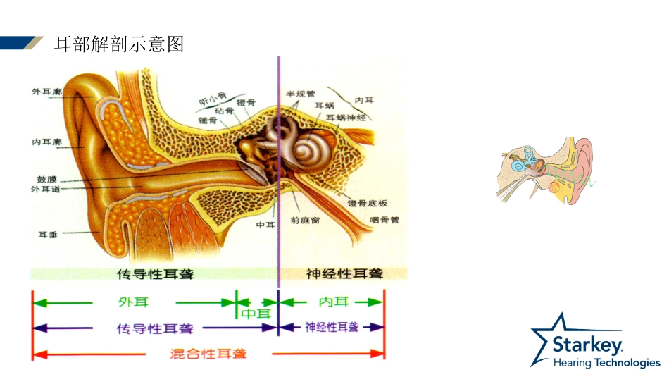 耳部解剖及生理_第2页