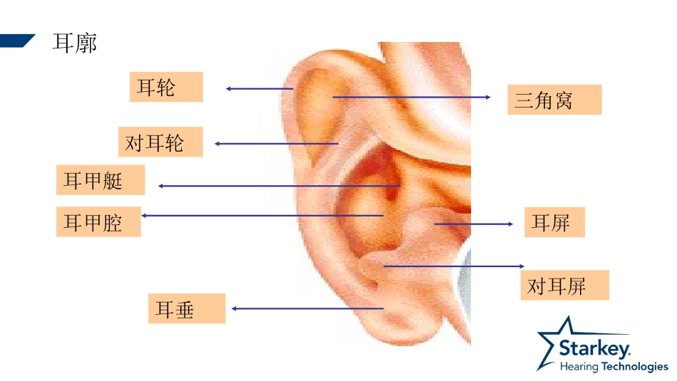 耳部解剖及生理_第3页