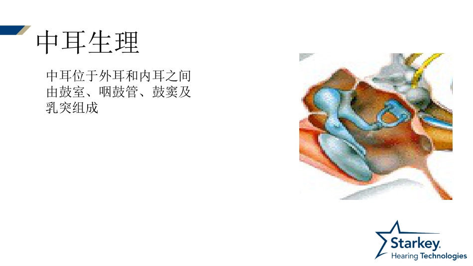 耳部解剖及生理_第5页