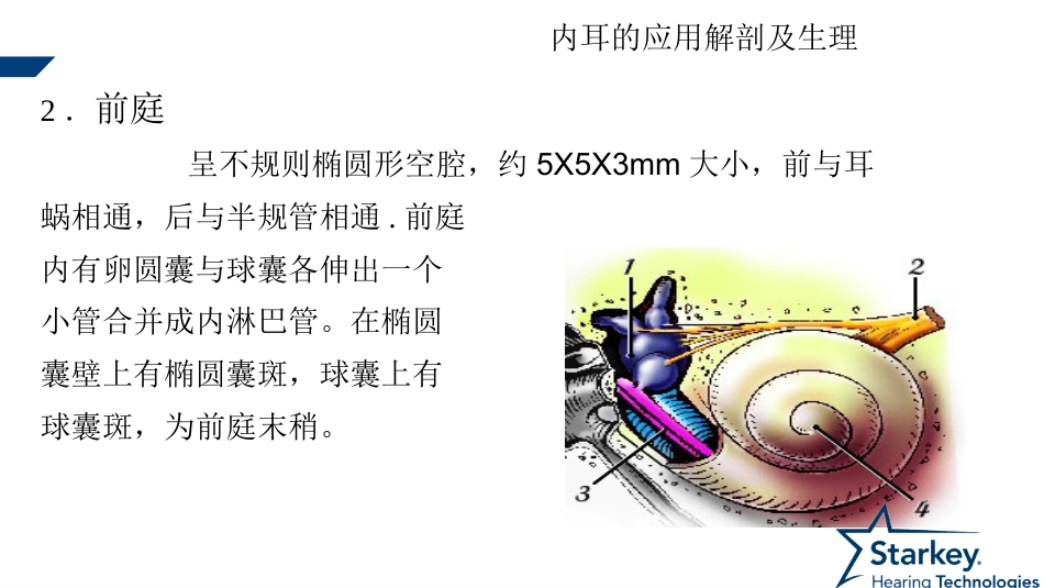 耳部解剖及生理_第9页