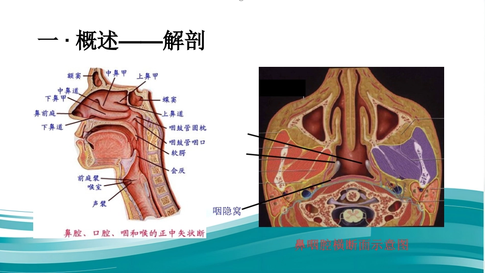 鼻咽癌患者的放疗护理_第3页