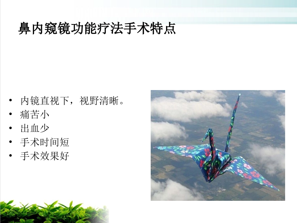 鼻中隔偏曲矫正术张影_第13页