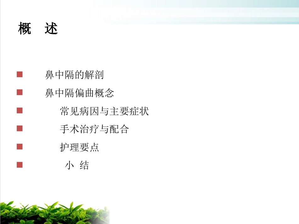 鼻中隔偏曲矫正术张影_第2页