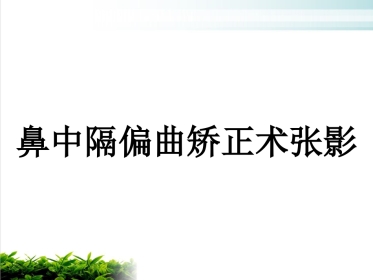 鼻中隔偏曲矫正术张影