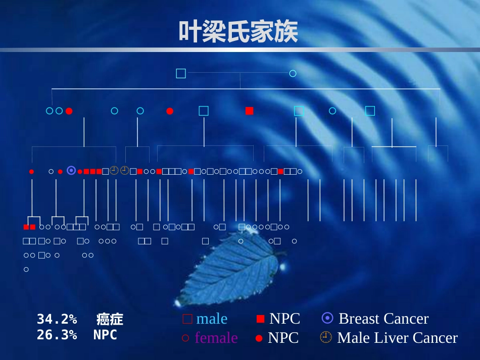 鼻咽癌的诊断与鉴别诊断_第13页