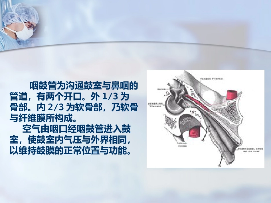 耳部解剖及听觉生理_第11页