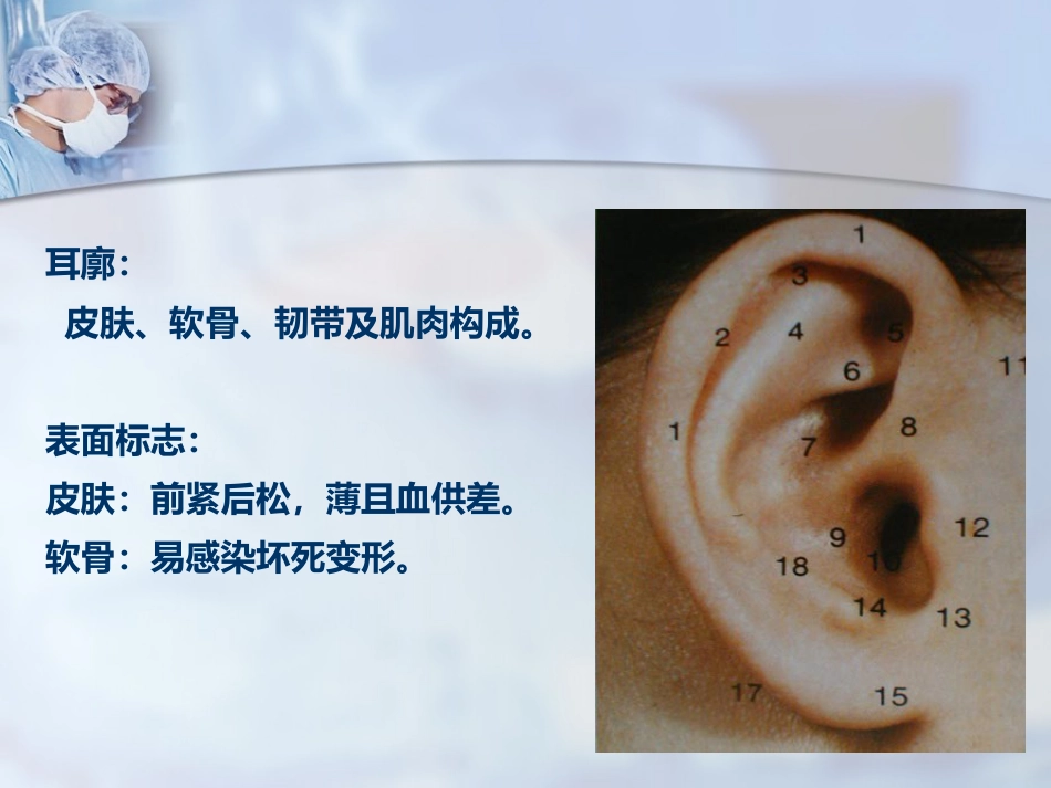 耳部解剖及听觉生理_第4页