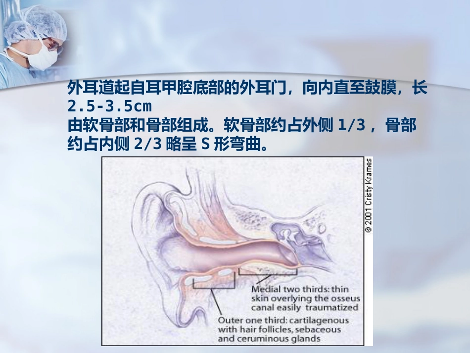 耳部解剖及听觉生理_第5页