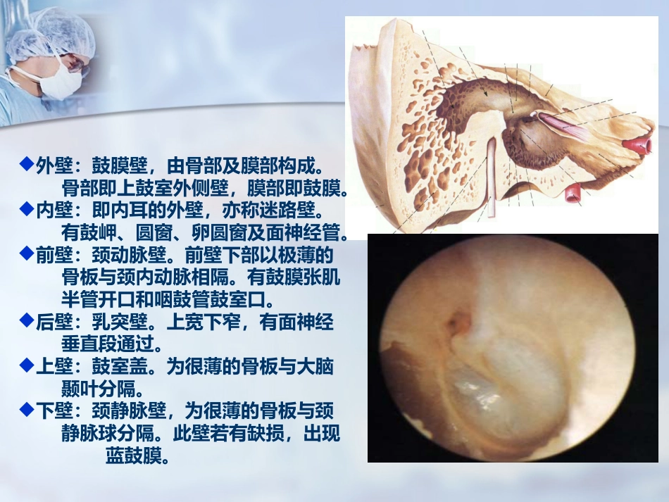 耳部解剖及听觉生理_第8页