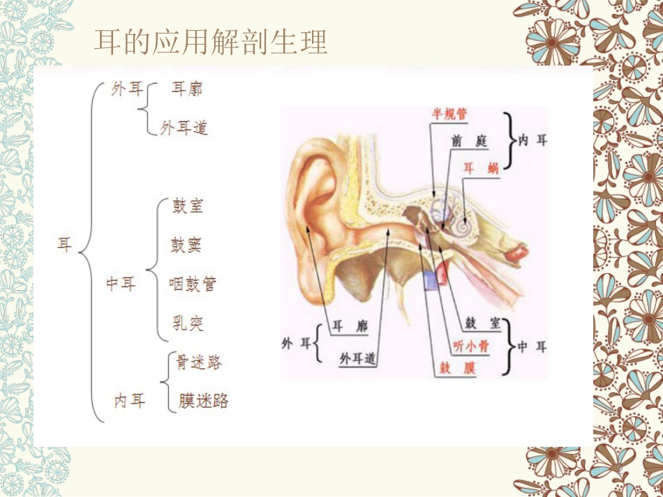 耳部专业知识医学PPT课件_第2页