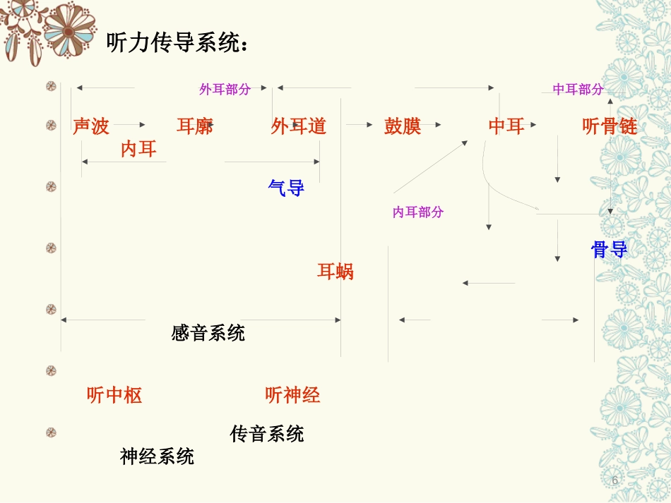 耳部专业知识医学PPT课件_第6页
