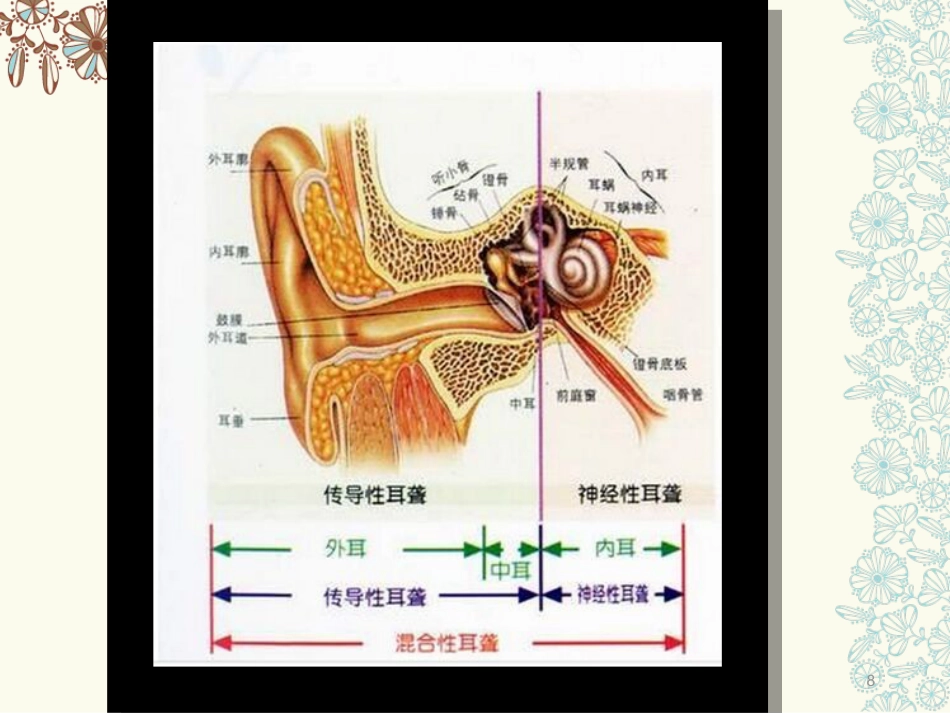 耳部专业知识医学PPT课件_第8页