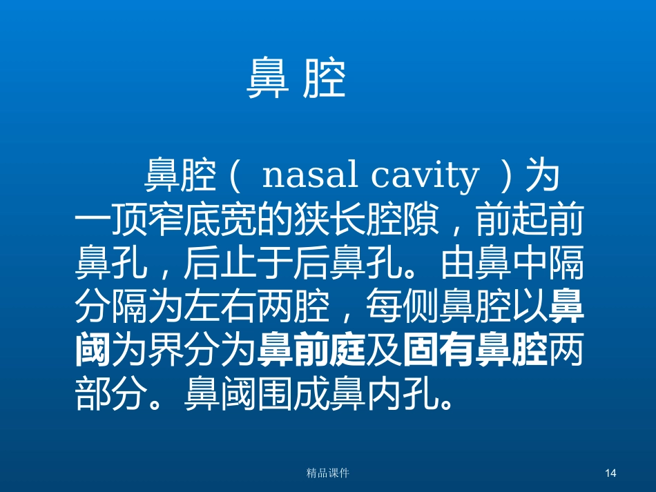 鼻部解剖与生理_第14页