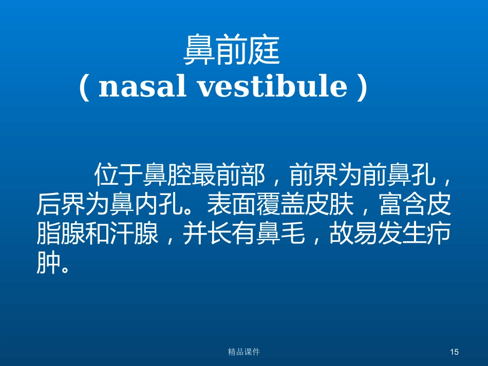 鼻部解剖与生理_第15页
