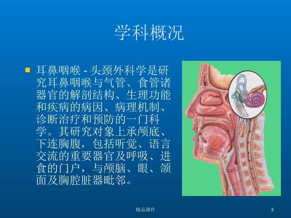 鼻部解剖与生理_第3页