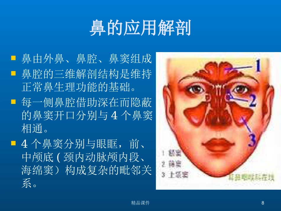 鼻部解剖与生理_第8页