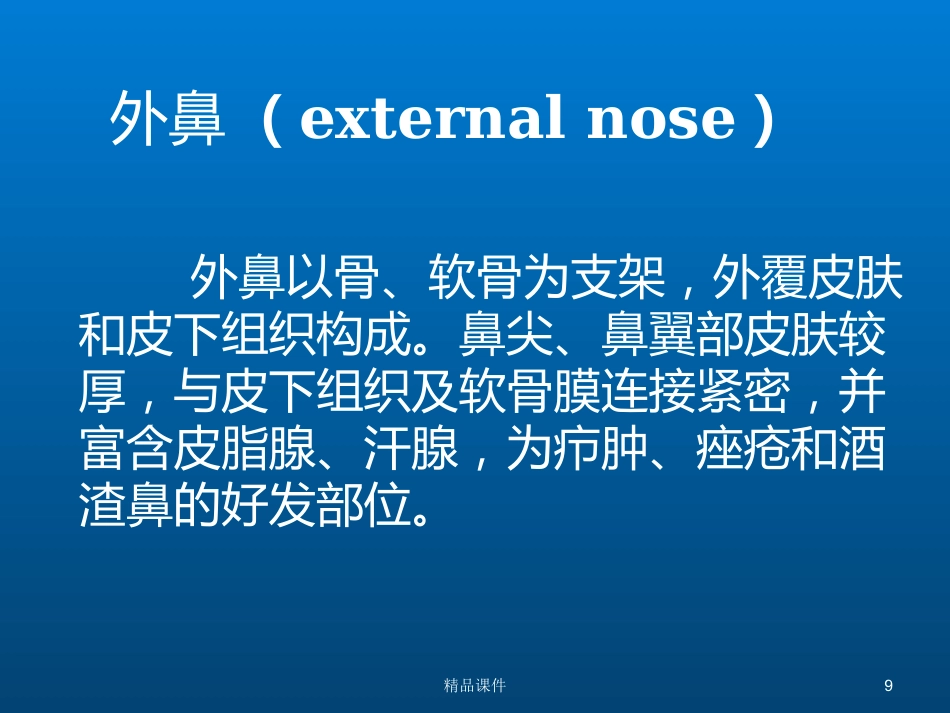 鼻部解剖与生理_第9页
